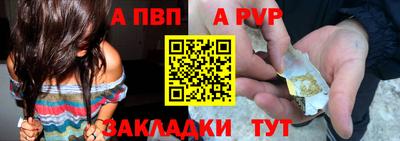 спиды Гатчина