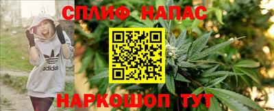 прущий лед Гай