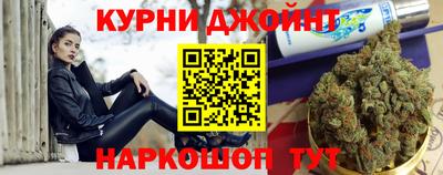 спиды Гатчина