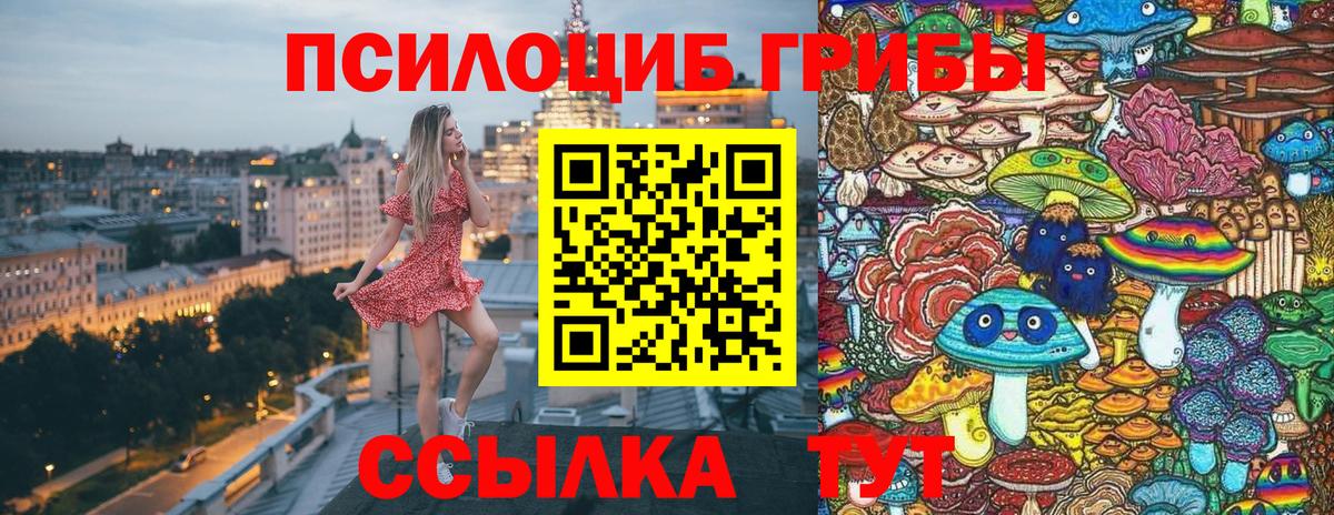 Псилоцибиновые грибы Psilocybine cubensis  Вход с VPN  Псилоцибиновые грибы GOLDEN TEACHER  Сосновоборск 